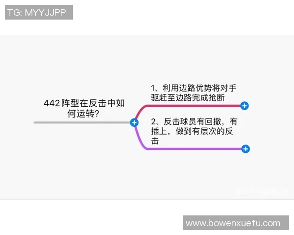 上海篮球队区域防守战术解析与实战应用深度剖析